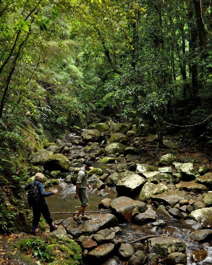 Binna Burra Sky Lodges Beechmont Exterior foto