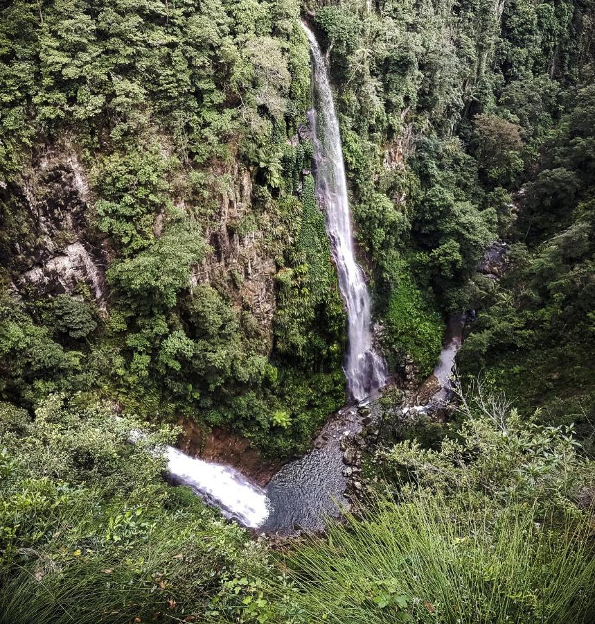 Binna Burra Sky Lodges Beechmont Exterior foto